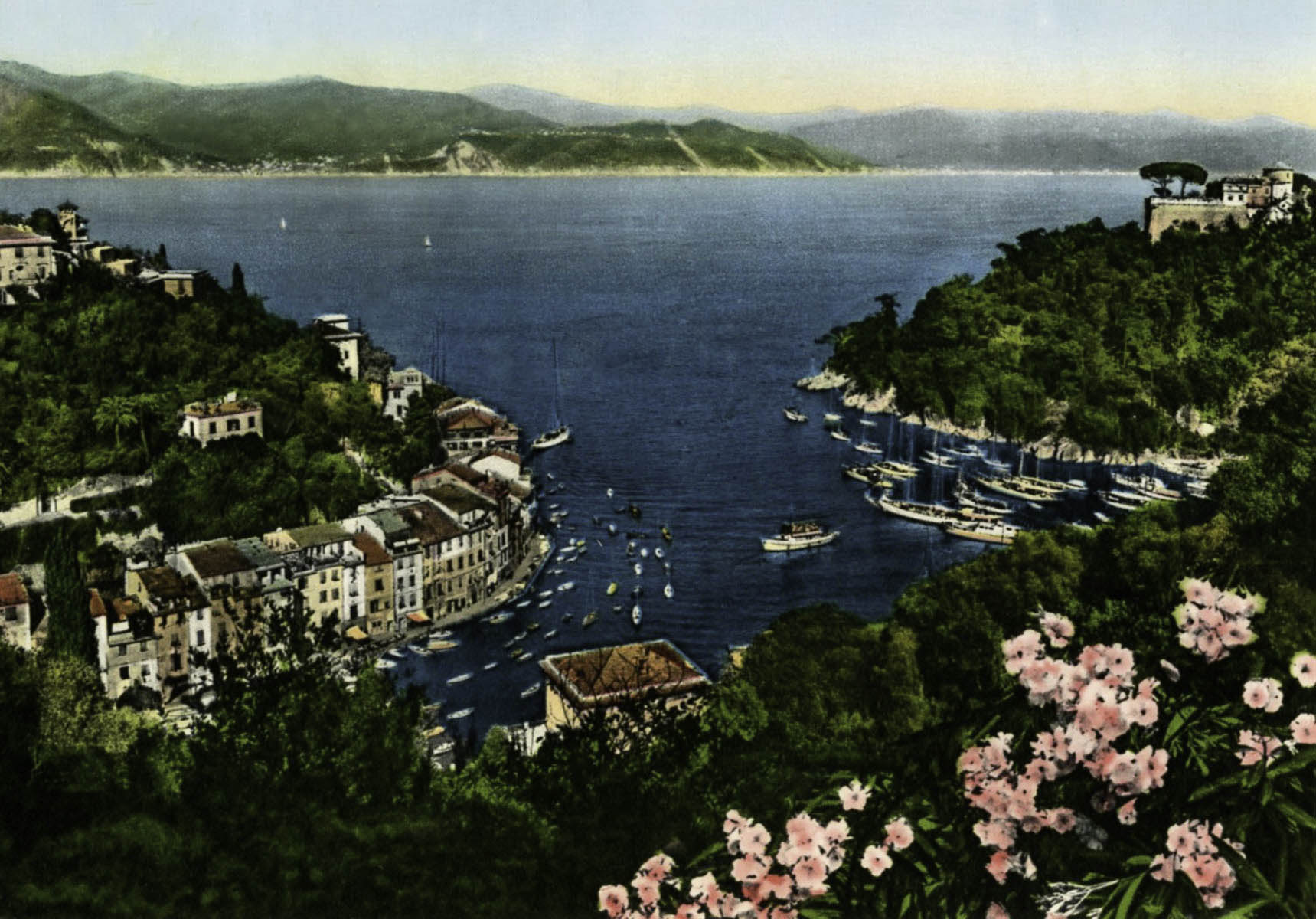 Italian Postcard Collection