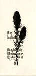 Bookplate of a black flora silhouette, posiibly a pine cone.