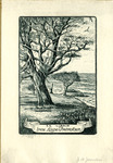 Bookplate of a big tree on the edge of a grass hill next to the water