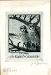 Bookplate of two owls sitting in a tree