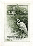 Bookplate of two heron birds standing in the water and one flying above the water