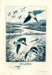 Bookplate of geese flying above the river that zigzags into the distance