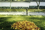 Japan – Kyoto – Moss Garden of Saihō-ji in Autumn