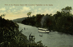 Panama – View of the Panama Canal with Luxurious Vegetation on the Banks