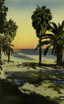 California – Palms along the California Shore