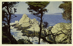 California – No. 4 Point Lobos