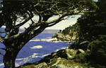 California – Point Lobos State Park
