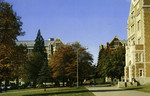 Washington – University of Washington Campus