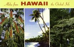 Hawaii – Aloha from Hawaii the Orchid Isle…