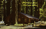 California – Richardson Grove State Park Lodge