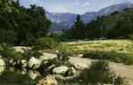 California – Santa Barbara Botanic Garden