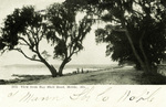 Alabama – View from Bay Shell Road, Mobile
